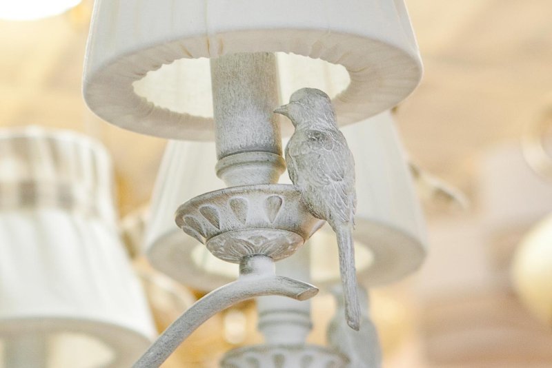 Люстра Maytoni arm013-06-w Bird