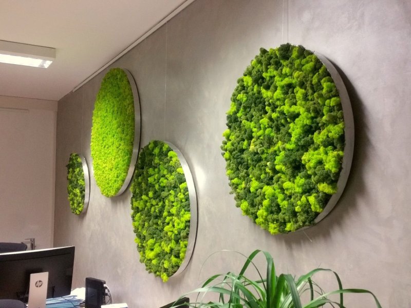 Flatwall фитомодули