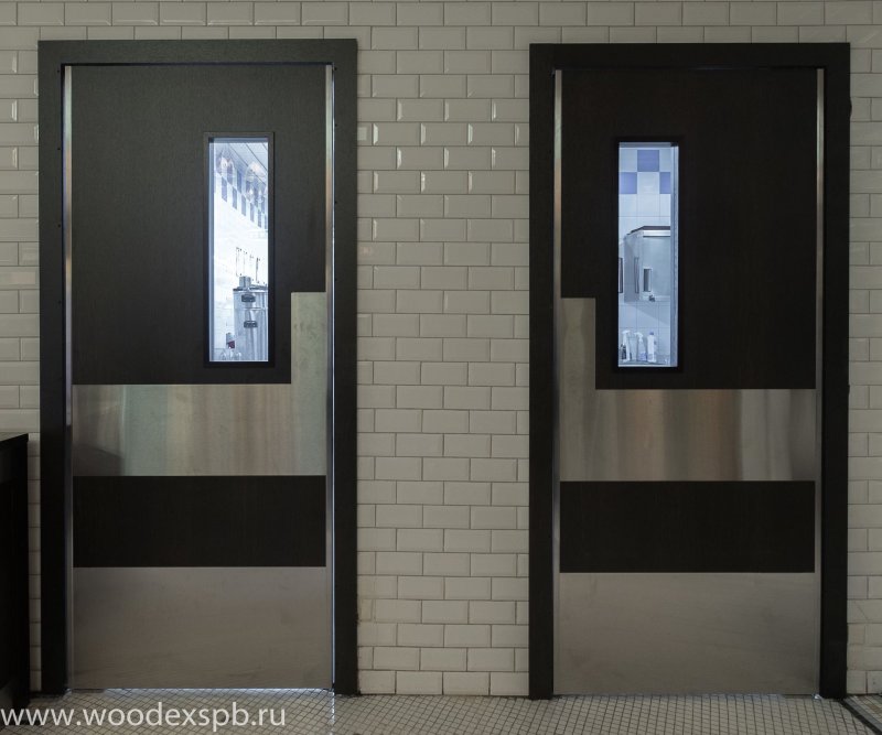 Reynaers Pivot Doors