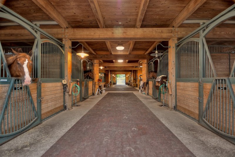Конюшни Westphalian stables архитектура