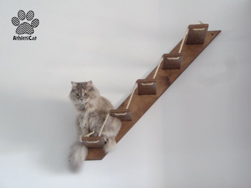 Деревянная лестница для кошек