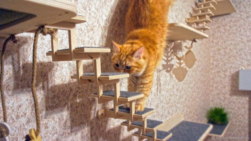 Кошачий домик
