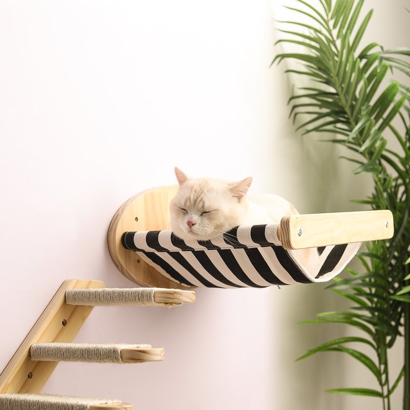 Лестница для кошек на стену