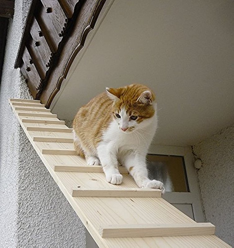 Лесенка для кошек