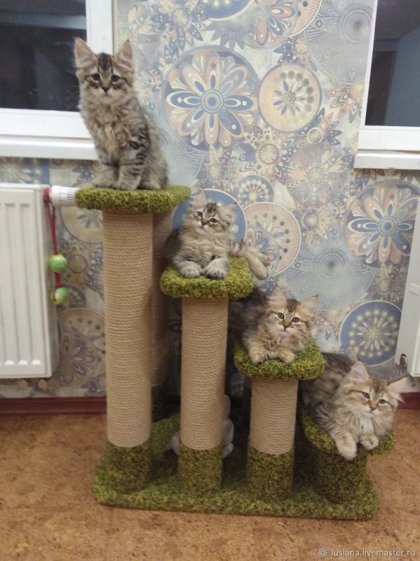 Деревянная кошка
