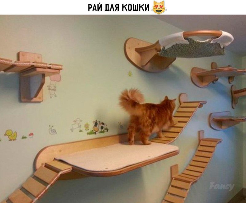 Лесенка для кошек
