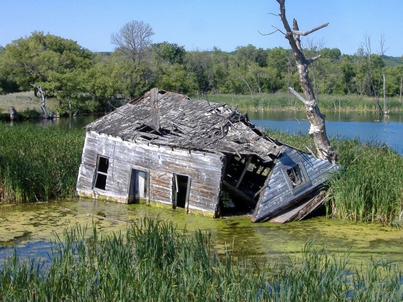 Swamp House