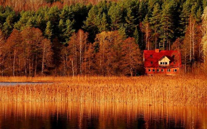 Боровецкий лес дом отшельника