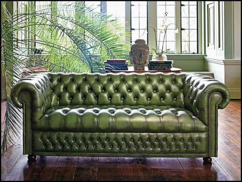 Диван eligio Sofa оливкового цвета