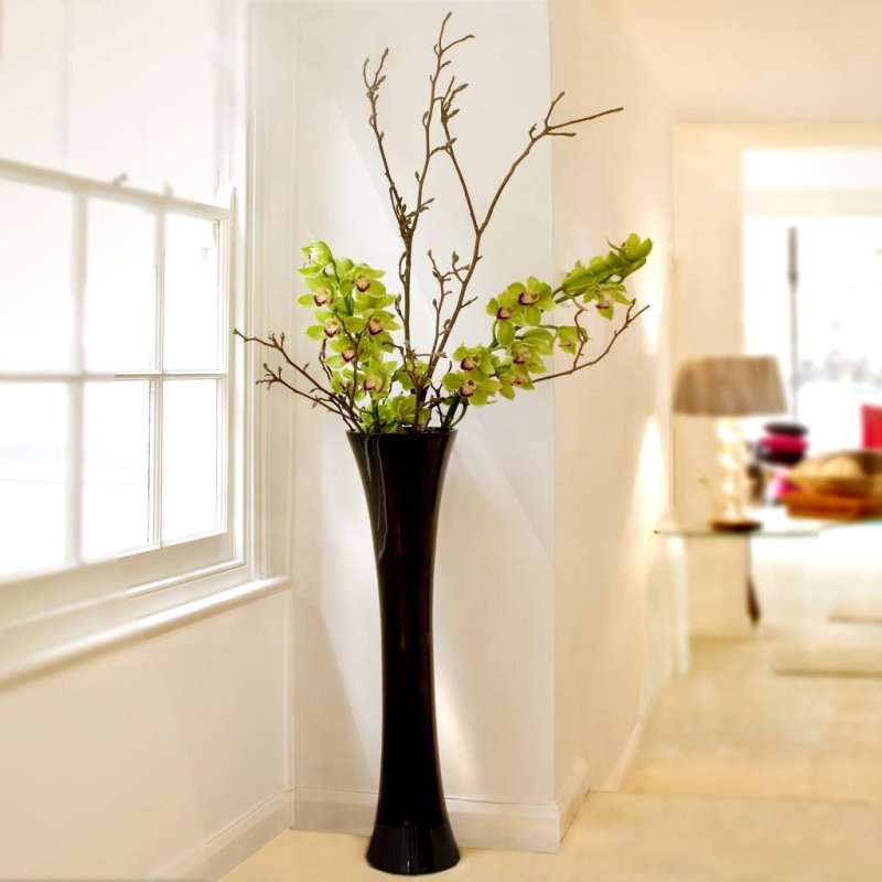 Фаленопсис decoration
