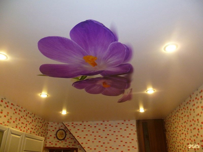 Натяжные потолки для зала