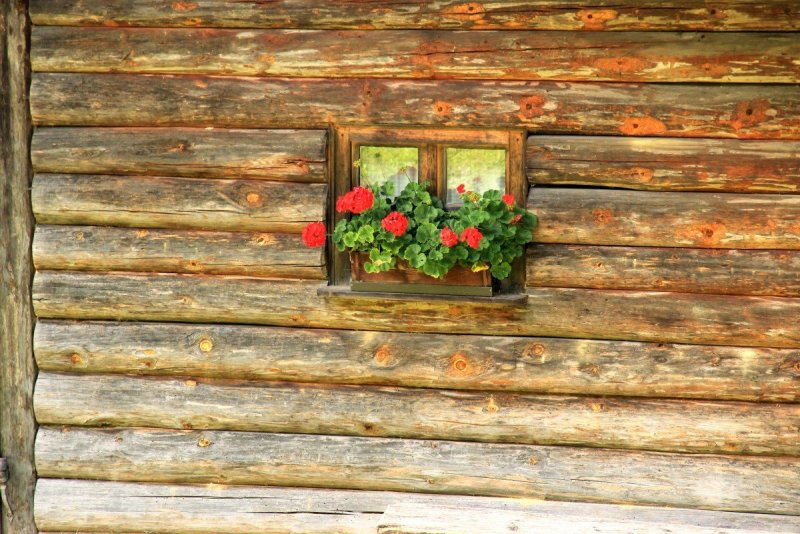 Бревенчатая стена