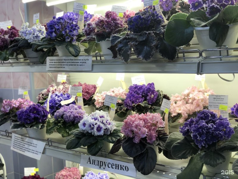 Полочки для фиалок