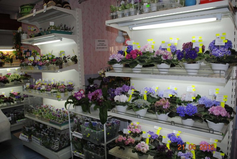 Полки стеллажи для фиалок