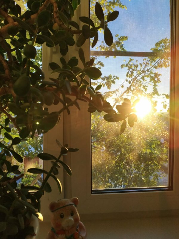Солнечное окно