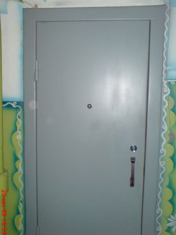 Пластиковые двери входные