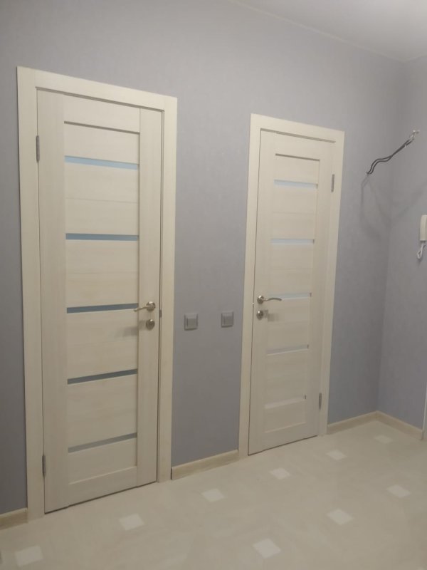 Дверь Alleanza Doors Ferrata