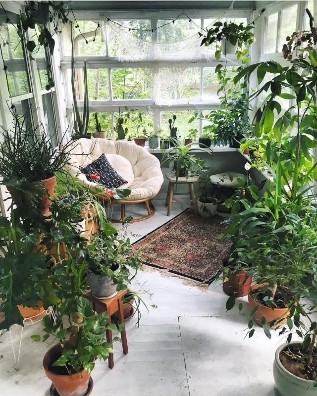 Phytodesign зимний сад
