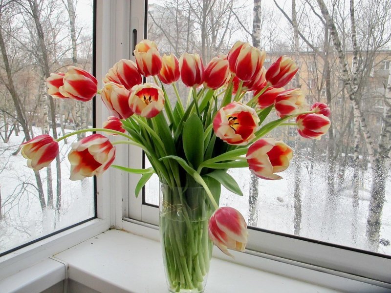 Цветы ок