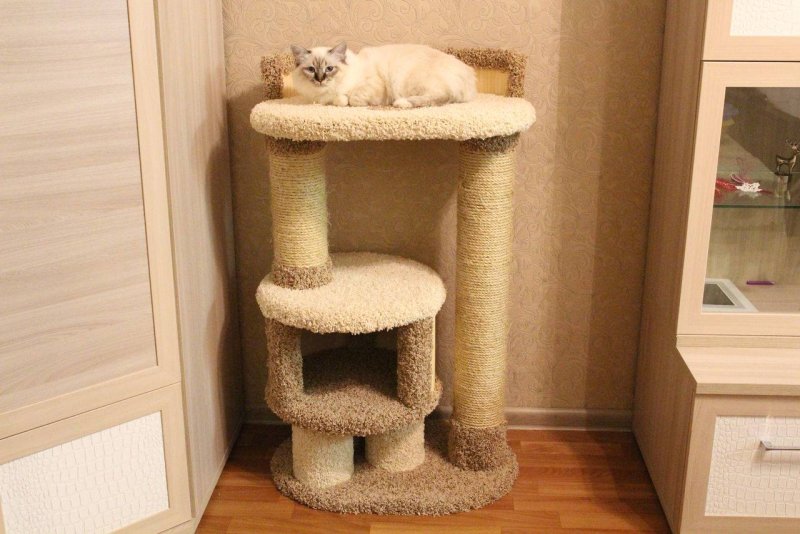 Кошкин домик когтеточка