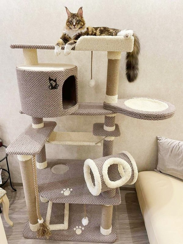 Домик для кошек