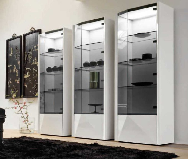 Showcase с335 витрина