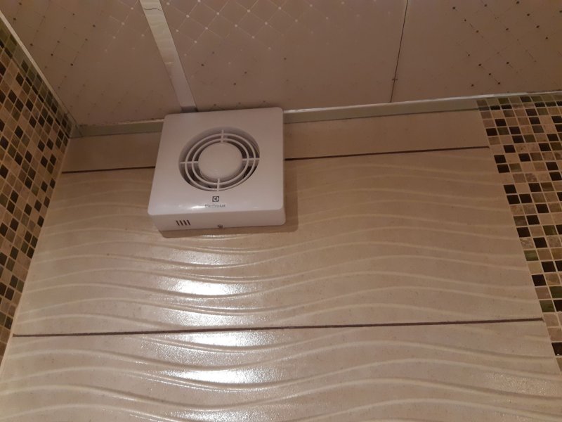 Electrolux Slim EAFS-100