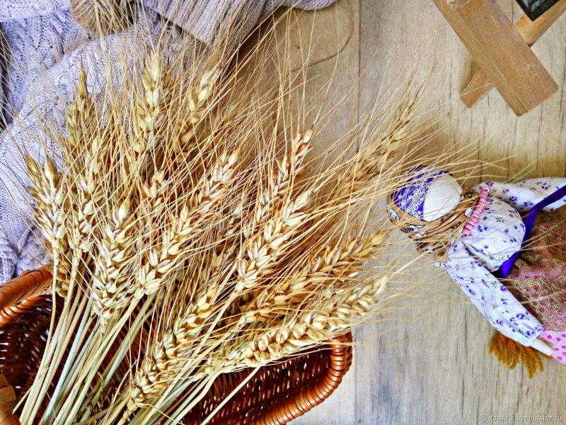 Композиции из Колосков