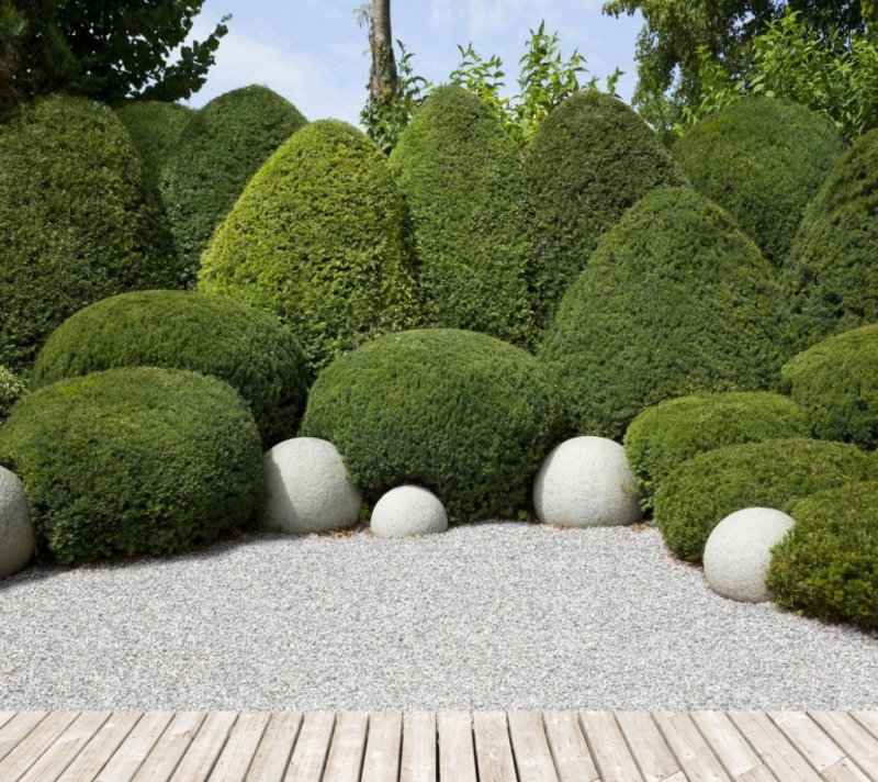 Coastal Garden landştaf Design