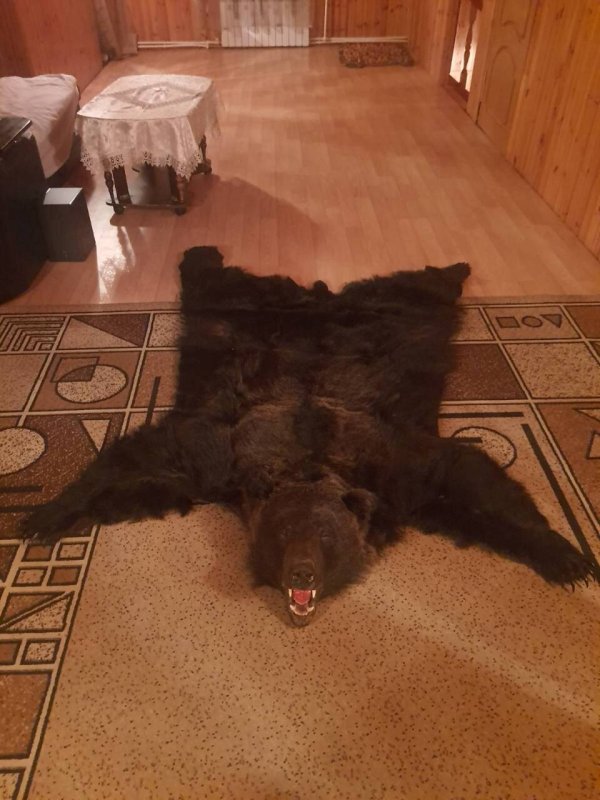 Ковер шкура медведя