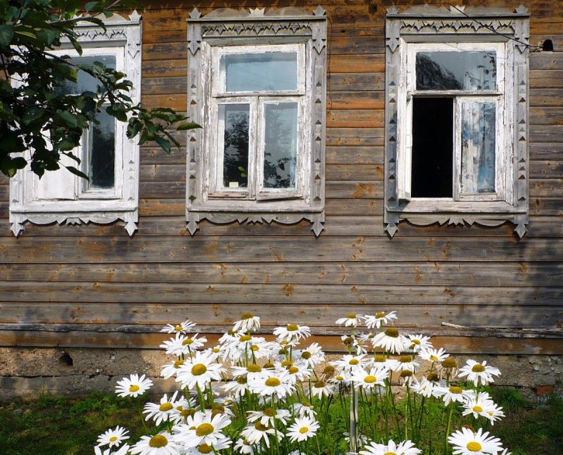 Утро деревня цветы
