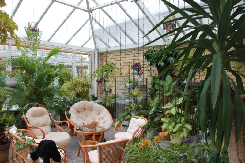 Phytodesign зимний сад