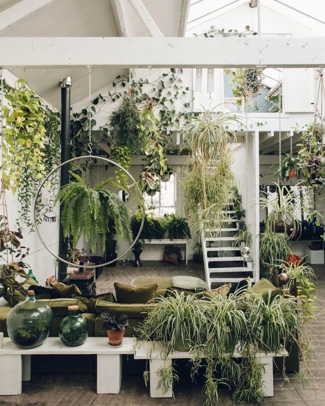 Phytodesign зимний сад