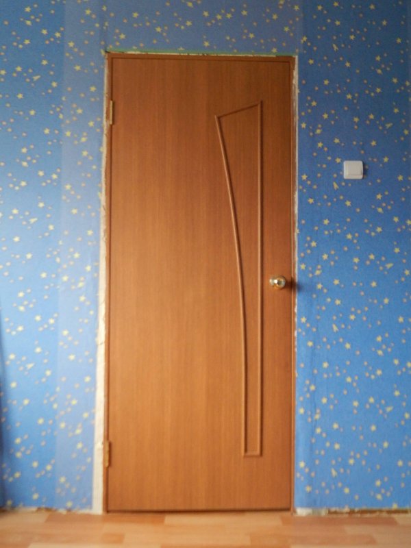 Двери Софья Скайлайн