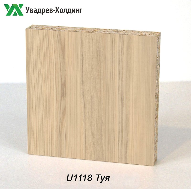 Туя u1118