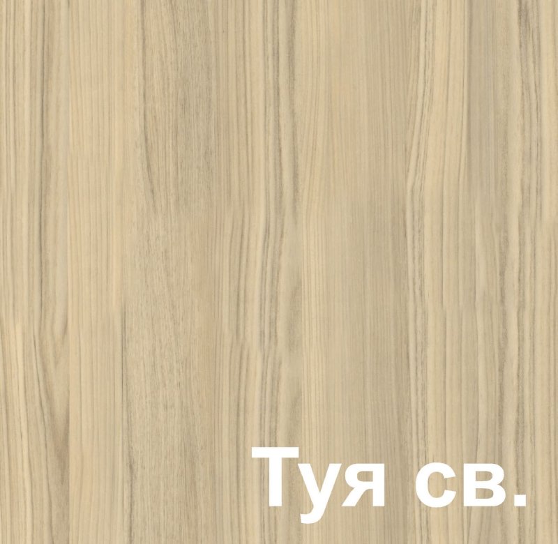 Увадрев туя u1118
