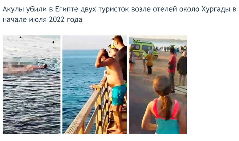 Акула прикол