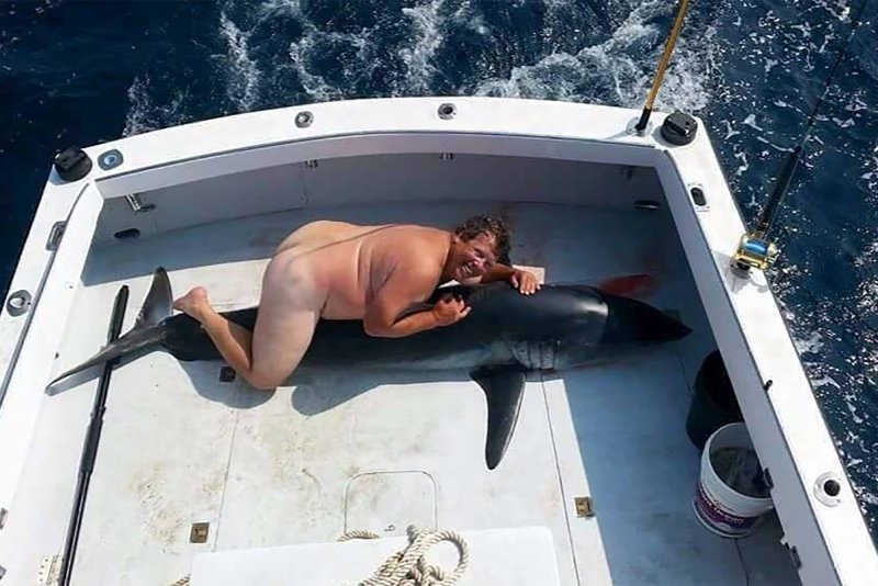 Funny Shark слив