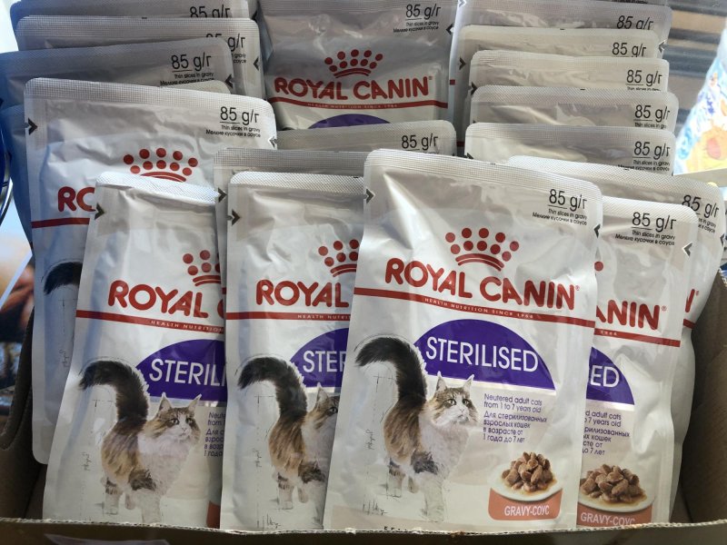 Выставочный стенд Royal Canin