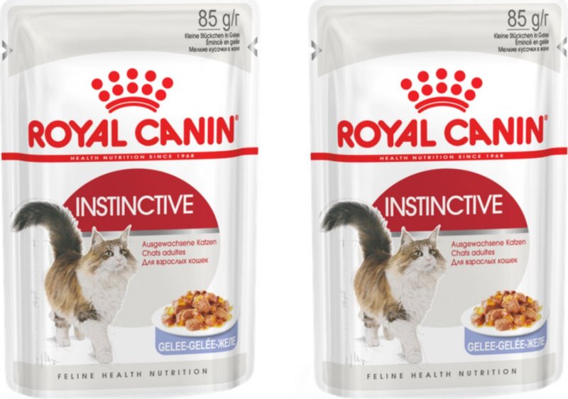 Royal Canin бэби Кэт паштет