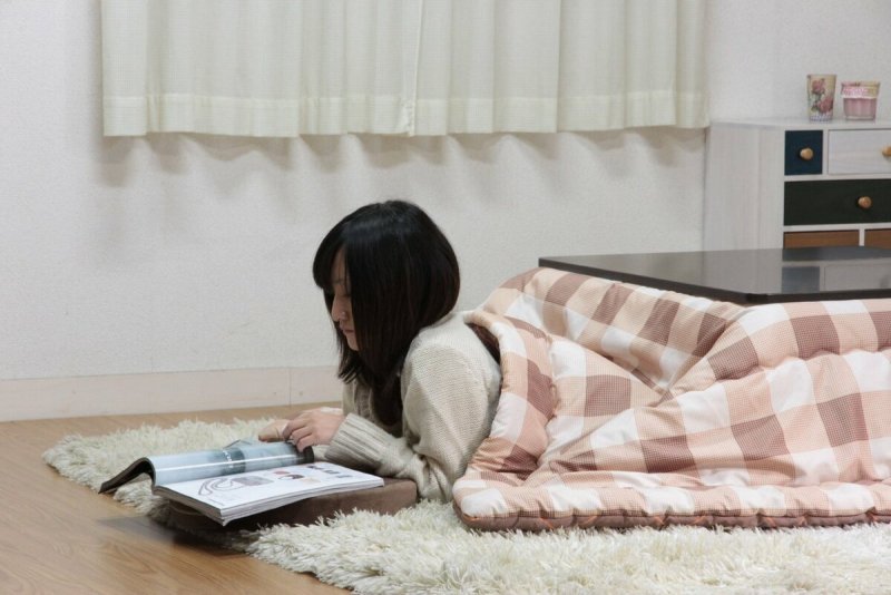Kotatsu 3d