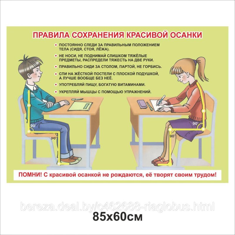 Высота сиденья стула эргономика