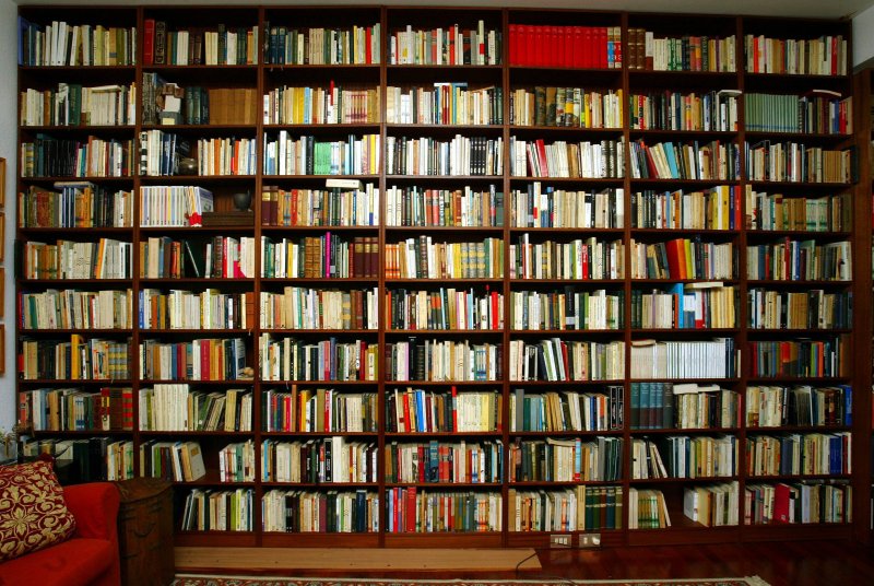 Стеллажи с книгами в библиотеке