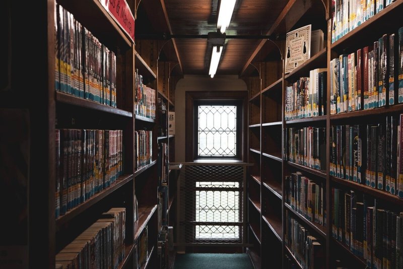 Книжный стеллаж Фабиан Смит