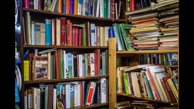 Книжная полка с книгами
