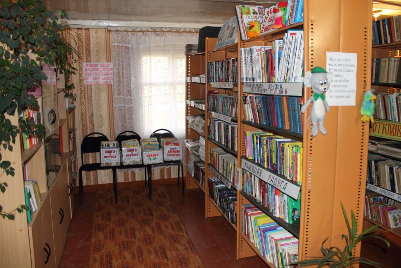 Фото книг в библиотеке на полке
