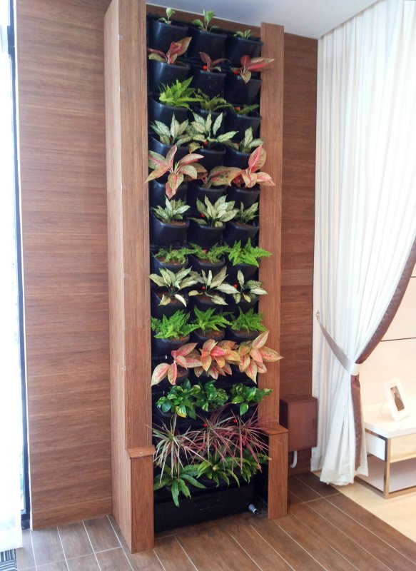 Greenwall фитомодуль