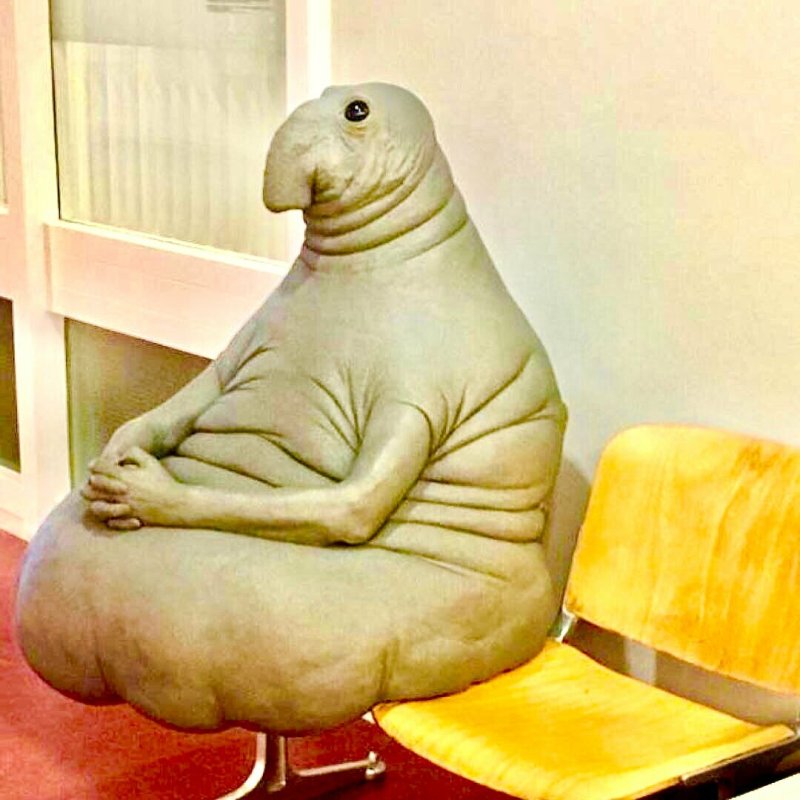 Ждун картинки