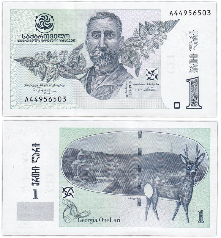 Грузинские банкноты 10 лари 1993