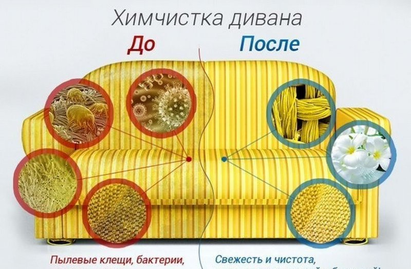 Бактерии на мягкой мебели